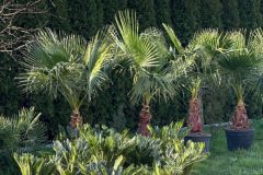 IMG-20240409-WA0001_WM