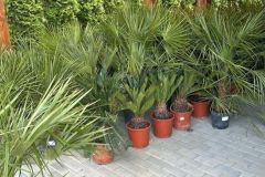 IMG-20240409-WA0005_WM