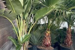 IMG-20240409-WA0014_WM