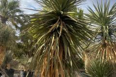 IMG-20240514-WA0039_WM