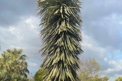 IMG-20240514-WA0040_WM