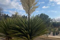 IMG-20240514-WA0043_WM
