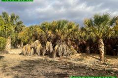 IMG-20240514-WA0044_WM