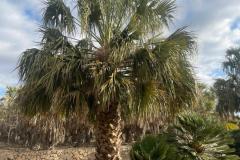 IMG-20240514-WA0045_WM