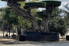 IMG-20240514-WA0047_WM