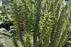 IMG-20240514-WA0100_WM