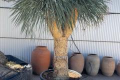 IMG-20240514-WA0121_WM