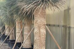 IMG-20240514-WA0138_WM
