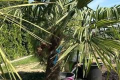 IMG-20240607-WA0046_WM