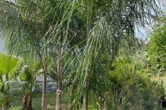 IMG-20240607-WA0049_WM