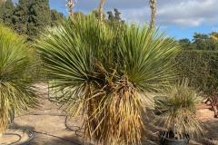 IMG-20240608-WA0045_WM