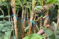IMG-20240609-WA0010_WM
