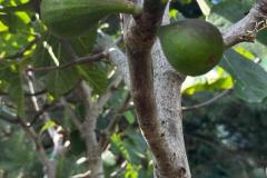 IMG-20240609-WA0014_WM
