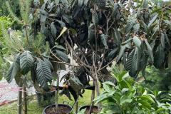 IMG-20240609-WA0026_WM