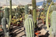 IMG-20240609-WA0049_WM