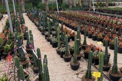 IMG-20240609-WA0068_WM