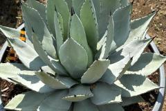 IMG-20240609-WA0073_WM