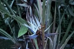 IMG-20240609-WA0075_WM