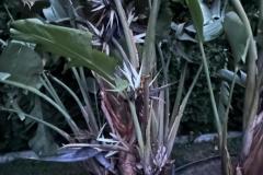 IMG-20240609-WA0078_WM