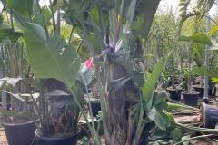 IMG-20240609-WA0082_WM