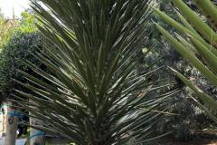 IMG-20240609-WA0089_WM