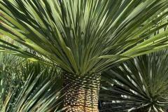 IMG-20240609-WA0091_WM