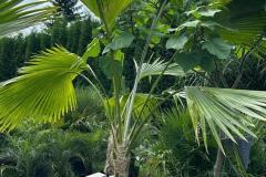 IMG-20240609-WA0092_WM