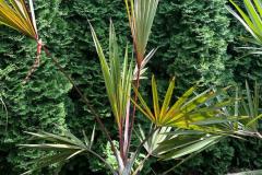 IMG-20240609-WA0097_WM