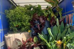 IMG-20240609-WA0106_WM