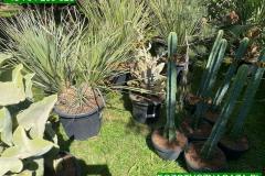IMG-20240609-WA0114_WM