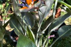 IMG-20240624-WA0005_WM