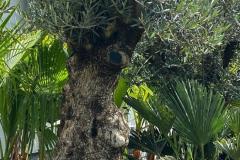 IMG-20240624-WA0031_WM