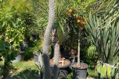 IMG-20240624-WA0034_WM