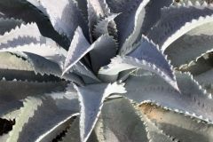 IMG-20241113-WA0066_WM