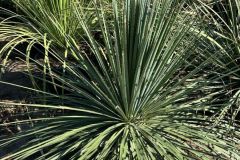 IMG-20241113-WA0070_WM