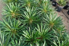 IMG-20241113-WA0074_WM