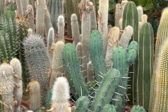 IMG-20241113-WA0094_WM