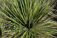 IMG-20241113-WA0110_WM