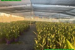IMG-20241127-WA0003_WM